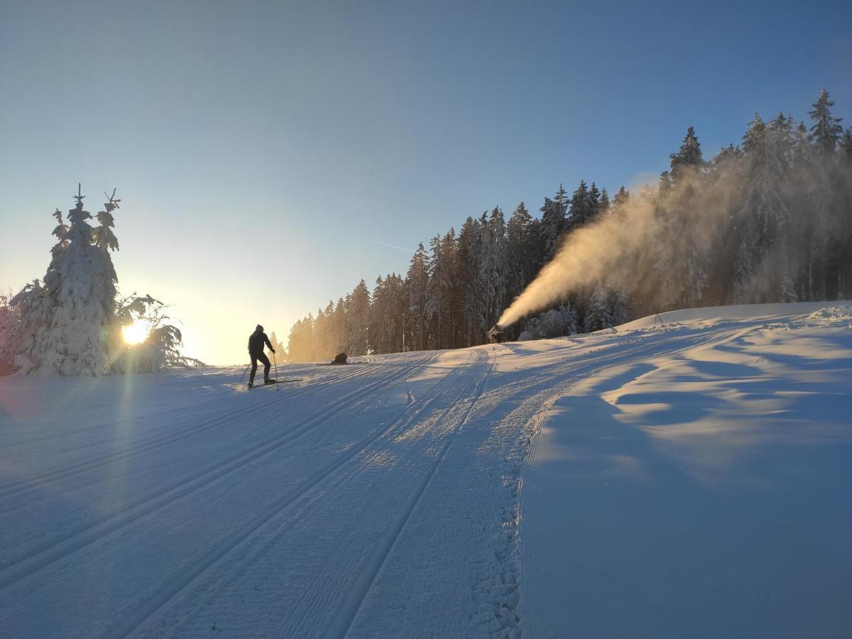 Lipno Riviera - Mysi V Bote Lipno nad Vltavou Exterior foto